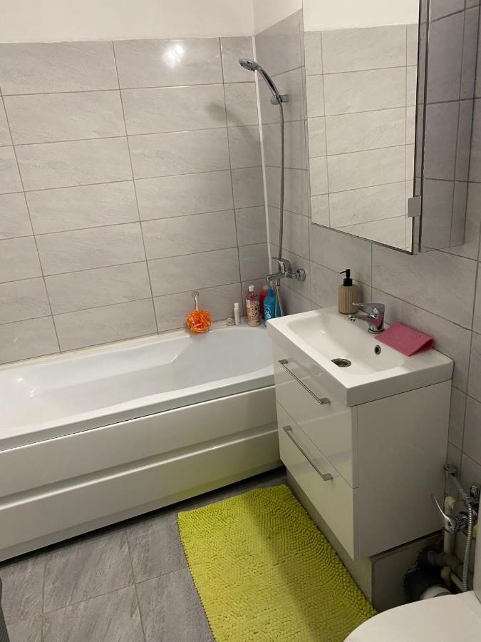 Alesandru Apartament 피테슈티 외부 사진