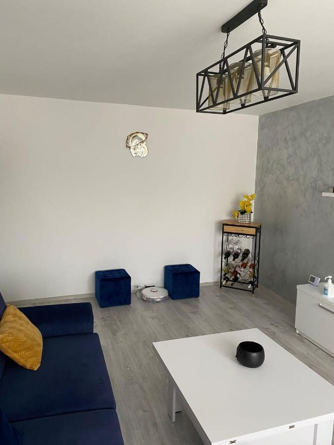 Alesandru Apartament 피테슈티 외부 사진