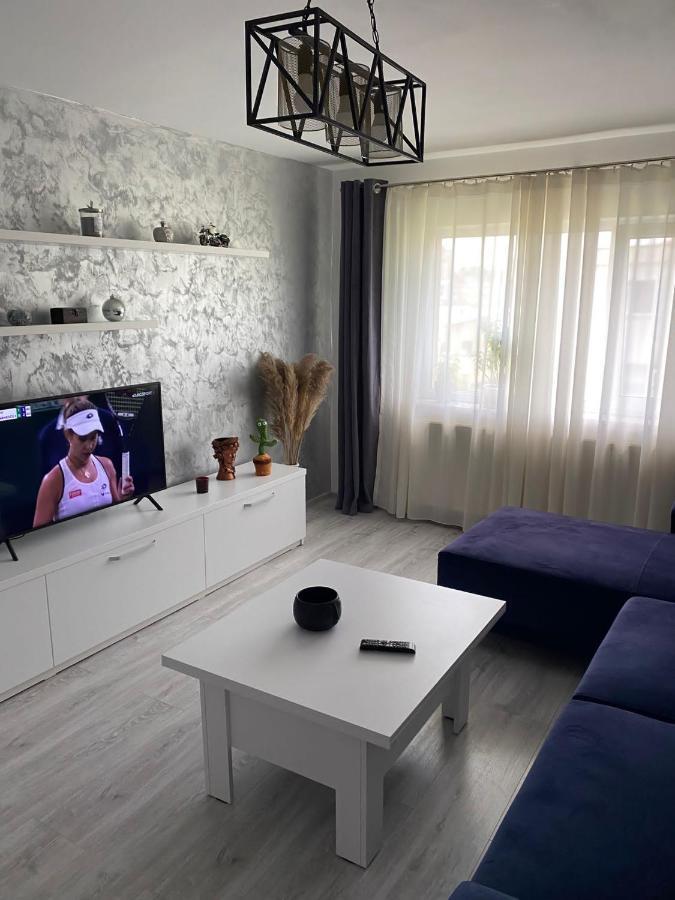 Alesandru Apartament 피테슈티 외부 사진