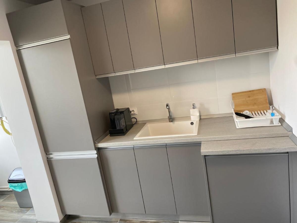 Alesandru Apartament 피테슈티 외부 사진