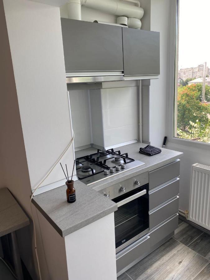 Alesandru Apartament 피테슈티 외부 사진