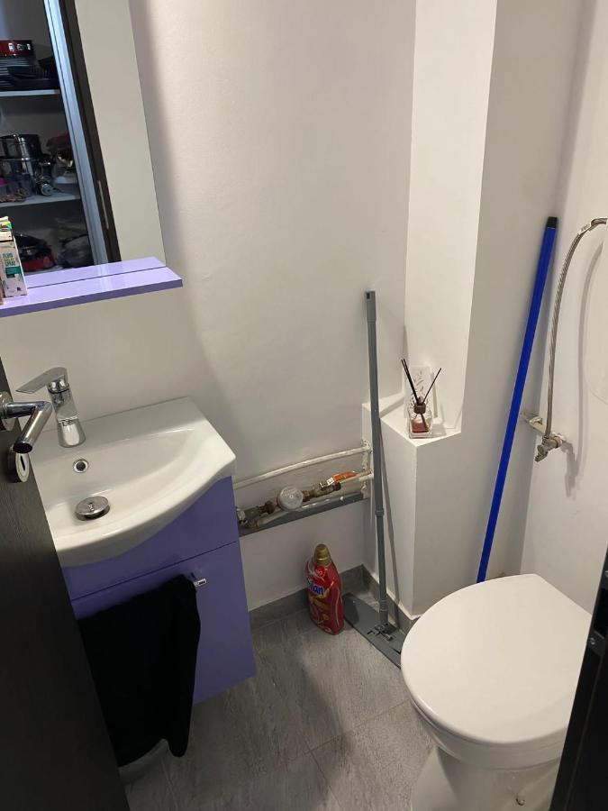 Alesandru Apartament 피테슈티 외부 사진