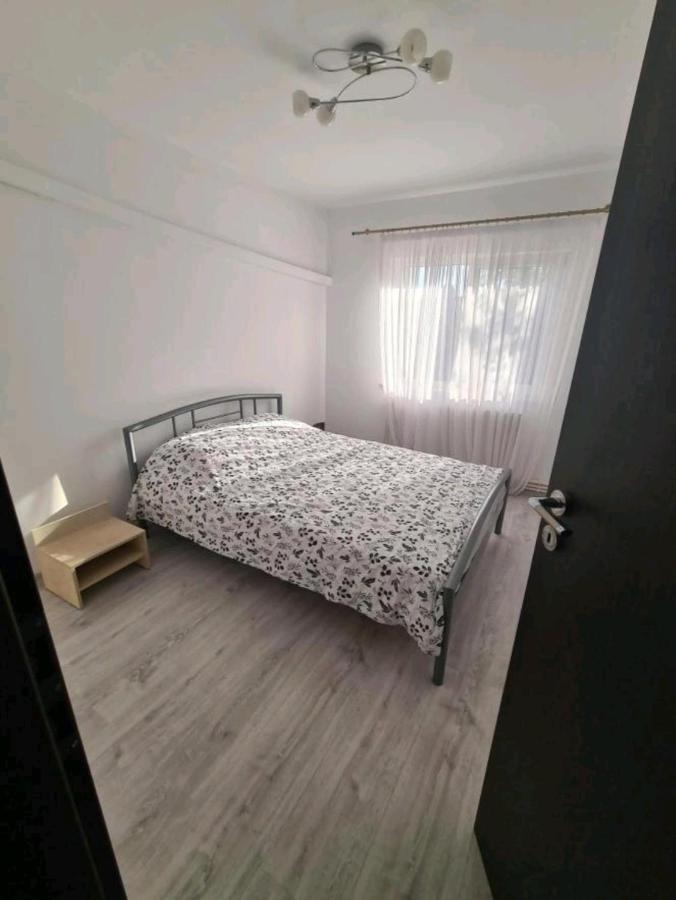 Alesandru Apartament 피테슈티 외부 사진